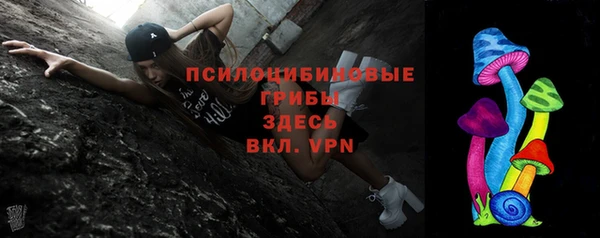 МДПВ Няндома