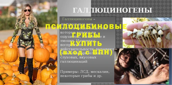 твердый Нязепетровск