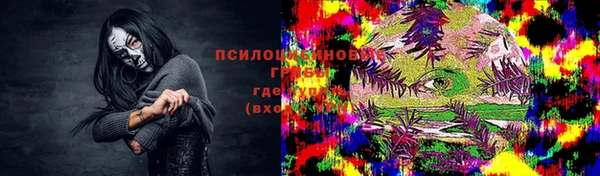 МДПВ Няндома