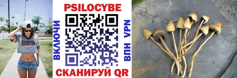 Псилоцибиновые грибы прущие грибы  Анапа 