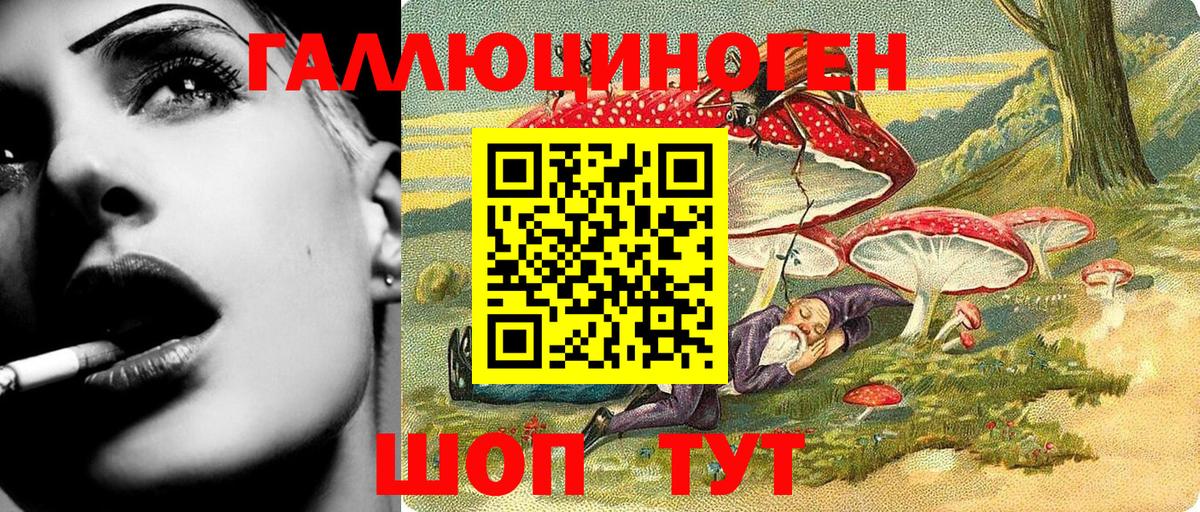 Галлюциногенные грибы Psilocybe  Вход с VPN  Анапа 